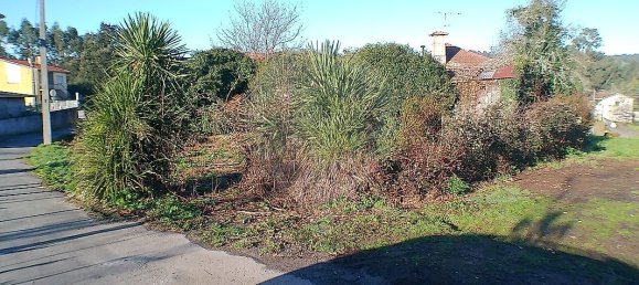 2 Schlafzimmer Haus in Santa Maria da Feira, Portugal, Nr. 37087 8