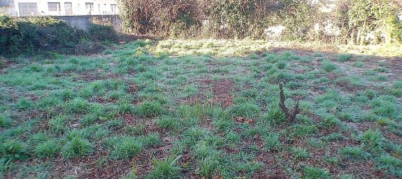 2 Schlafzimmer Haus in Santa Maria da Feira, Portugal, Nr. 37087 25