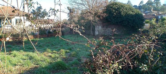 2 Schlafzimmer Haus in Santa Maria da Feira, Portugal, Nr. 37087 14