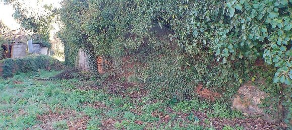 2 Schlafzimmer Haus in Santa Maria da Feira, Portugal, Nr. 37087 21