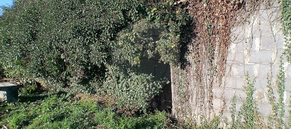 2 Schlafzimmer Haus in Santa Maria da Feira, Portugal, Nr. 37087 28