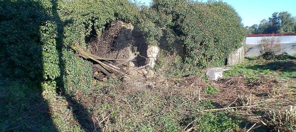 2 Schlafzimmer Haus in Santa Maria da Feira, Portugal, Nr. 37087 18