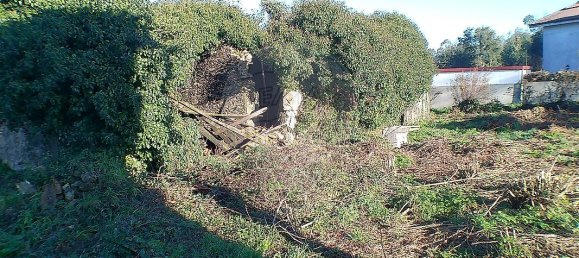 2 Schlafzimmer Haus in Santa Maria da Feira, Portugal, Nr. 37087 11