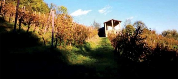 6-salle Maison à Refrontolo, Italy No. 288623 6