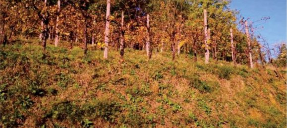 6-salle Maison à Refrontolo, Italy No. 288623 12