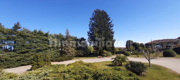 5-Zimmer Lagerhaus in Golasecca, Italy, Nr. 78136 22