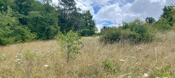 5 bedrooms House in Chatel-Censoir, France No. 315022 20