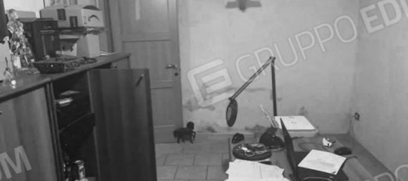 5 rooms Apartment in Jolanda di Savoia, Italy No. 25080 9