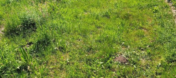 Casa T3 em Lorrach, Germany N.º 231145 3