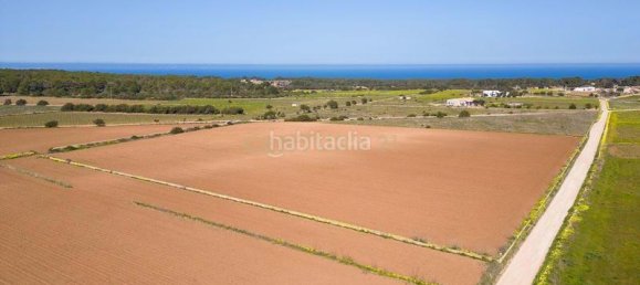  قطعة أرض في Formentera, Spain 15000متر مربع رقم 168683 4