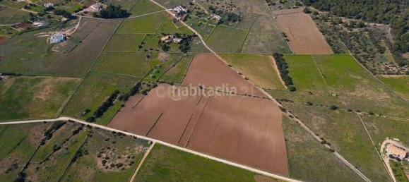  قطعة أرض في Formentera, Spain 15000متر مربع رقم 168683 20