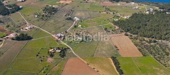  قطعة أرض في Formentera, Spain 15000متر مربع رقم 168683 3