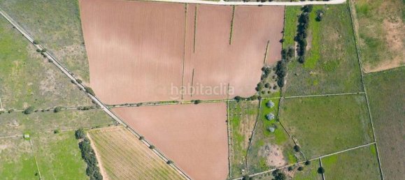  قطعة أرض في Formentera, Spain 15000متر مربع رقم 168683 8