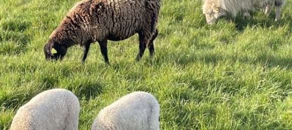 Land in Hauteville, France No. 76458 3