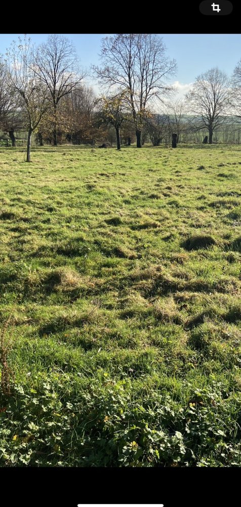  Land in Hauteville, France No. 76458