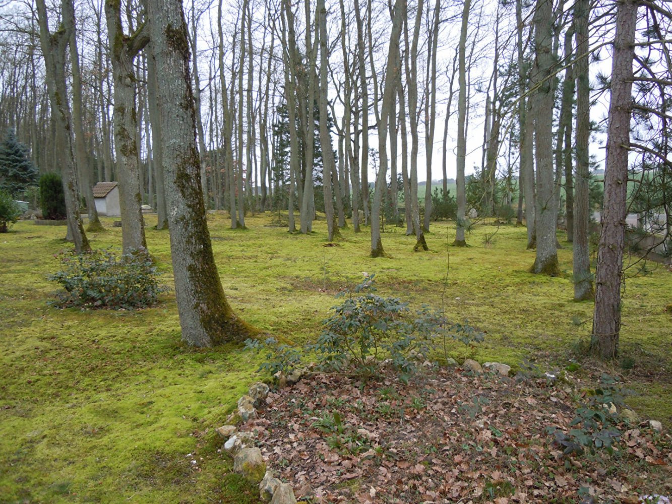  Land in Bouglainval, France No. 224939
