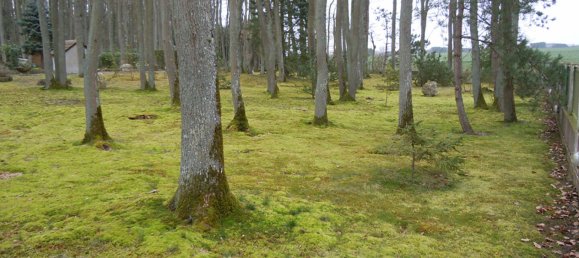  Land in Bouglainval, France No. 224939 3