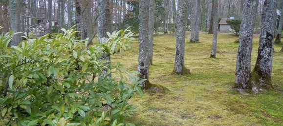  Land in Bouglainval, France No. 224939 4