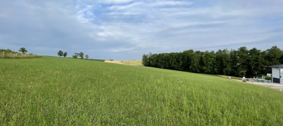 قطعة أرض في Waldneukirchen, Austria رقم 130746 4