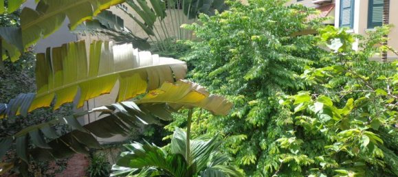 Studio in Ba Dinh, Vietnam No. 4223 7