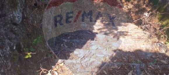 3 bedrooms House in Vila Verde, Portugal No. 183154 5