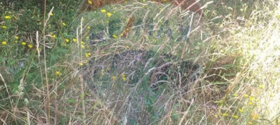 3 bedrooms House in Vila Verde, Portugal No. 183154 11