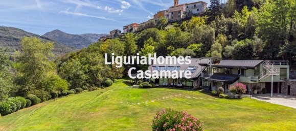 28 chambres Villa à Borgomaro, Italy No. 71143 39