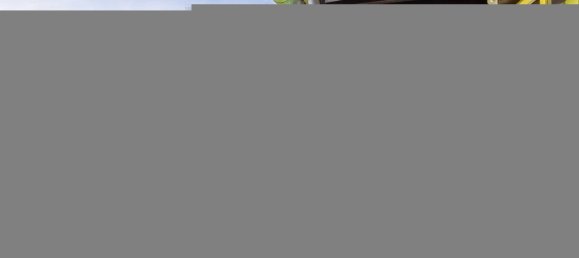 28 chambres Villa à Borgomaro, Italy No. 71143 4