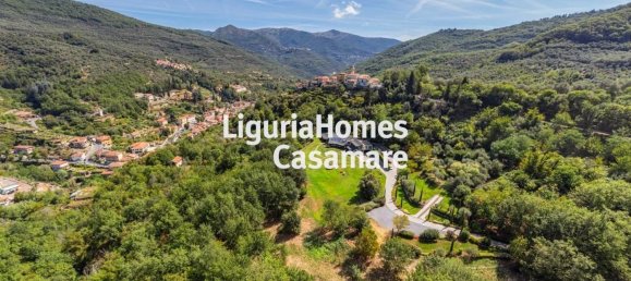 28 chambres Villa à Borgomaro, Italy No. 71143 26