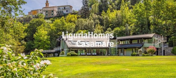 28 chambres Villa à Borgomaro, Italy No. 71143 6