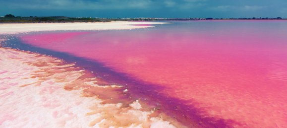 5 bedrooms Villa in Los Montesinos, Spain No. 289108 7