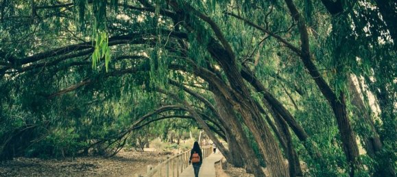 5 bedrooms Villa in Los Montesinos, Spain No. 289108 8