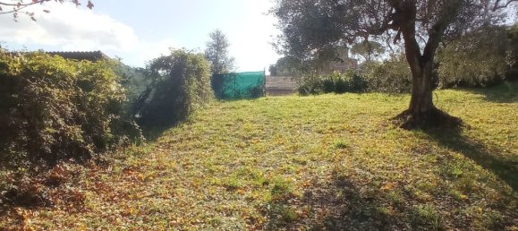 6-Zimmer Wohnung in Civitella del Tronto, Italy, Nr. 308022 5