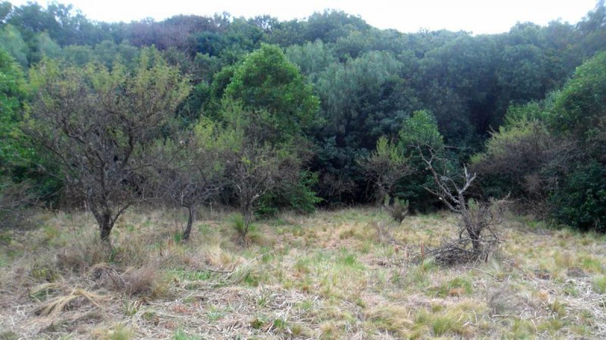 Grundstück in San Luis, Argentina, Nr. 39937