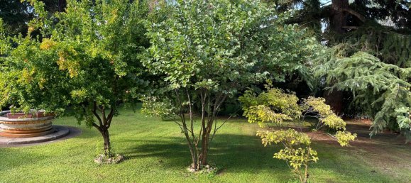 13 rooms Villa in Venice, Italy No. 257169 12