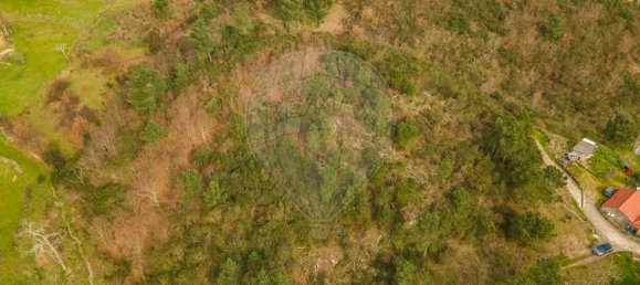 2 Schlafzimmer Haus in Baiao, Portugal, Nr. 179255 7