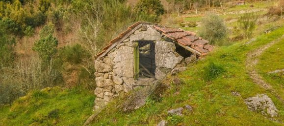 2 Schlafzimmer Haus in Baiao, Portugal, Nr. 179255 11