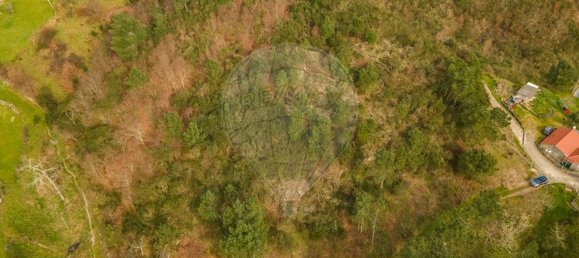 2 Schlafzimmer Haus in Baiao, Portugal, Nr. 179255 8