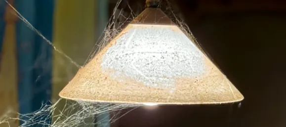 Granja de 12 habitaciónes en Ostprignitz-Ruppin, Germany No. 346426 14