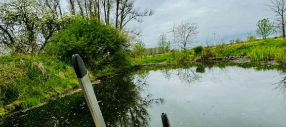 Granja de 12 habitaciónes en Ostprignitz-Ruppin, Germany No. 346426 3