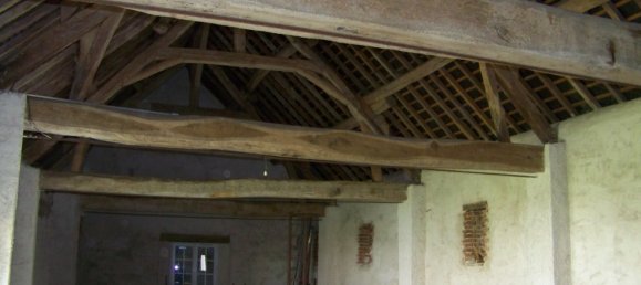 9 chambres Villa à Saint-Denis-en-Val, France No. 63545 48