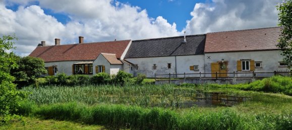 9 chambres Villa à Saint-Denis-en-Val, France No. 63545 20