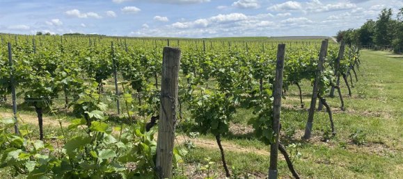 8-salle Maison de ville à Mainz-Bingen, Germany No. 201950 8