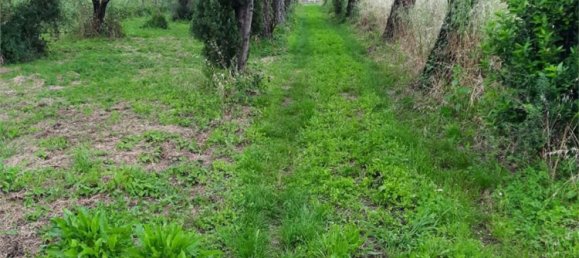 4-Zimmer Haus in Sarzana, Italy, Nr. 300799 4