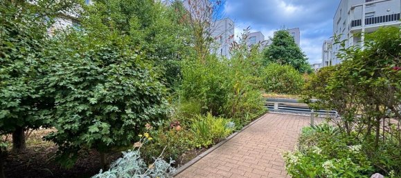 2 rooms Apartment in Ludwigshafen am Rhein, Germany No. 230365 2