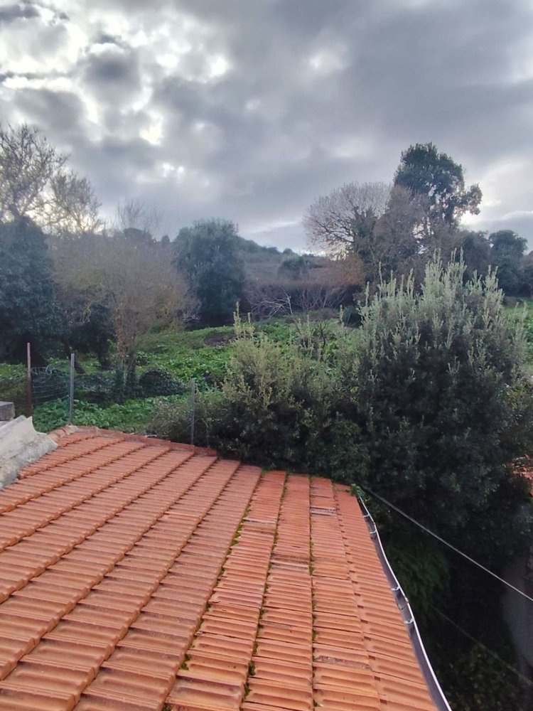 Дом с 3 комнатами в Вилланова Монтелеоне, Италия № 299493