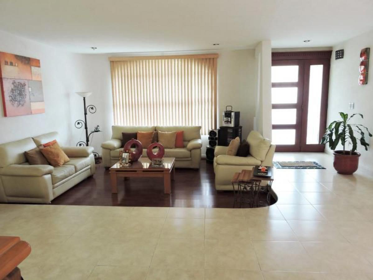 Дом с 3 спальнями в Сан Буэнавентура, Мексика № 223941