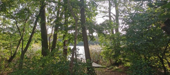 Бунгало с 3 спальнями в Восточный Пригниц-Руппин, Германия № 293285 3