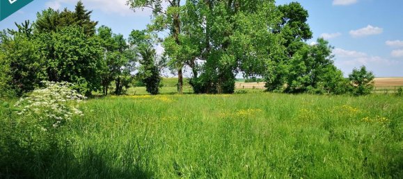 6 Schlafzimmer Haus in Courant, France, Nr. 100889 7