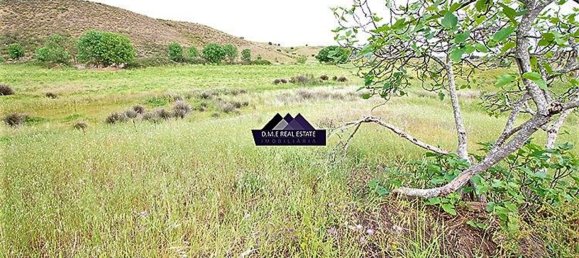 9160m² Land in Castro Marim, Portugal No. 31338 4